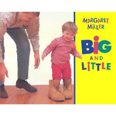 Big and Little Hardcover, Greenwillow Books