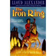 The Iron Ring Paperback, Puffin Books