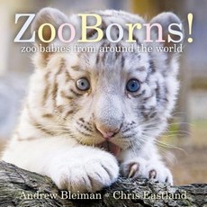 Zooborns!: Zoo Babies from Around the World Board Books, Little Simon