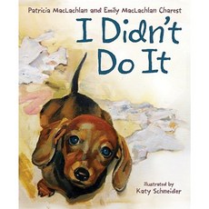I Didn't Do It Hardcover, Katherine Tegen Books