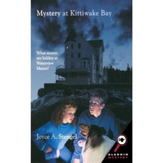 Mystery at Kittiwake Bay Paperback, Aladdin Paperbacks