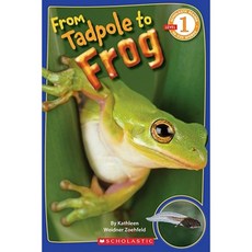 From Tadpole to Frog Paperback, Scholastic Paperbacks