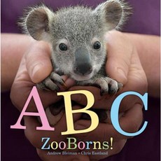ABC Zooborns! Board Books, Little Simon