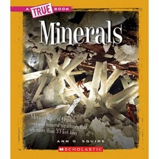 Minerals Library Binding, Scholastic