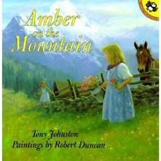 Amber on the Mountain Paperback, Puffin Books