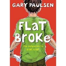 Flat Broke: The Theory Practice and Destructive Properties of Greed Hardcover, Wendy Lamb Books