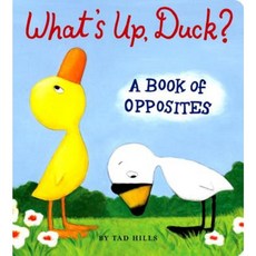 What's Up Duck?: A Book of Opposites Board Books, Schwartz & Wade Books