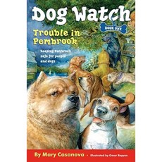 Trouble in Pembrook Paperback, Aladdin Paperbacks