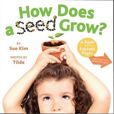 How Does a Seed Grow?: A Book with Foldout Pages Board Books, Little Simon