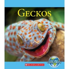 Geckos Library Binding, Scholastic