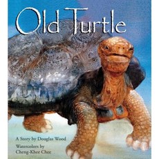 Old Turtle Hardcover, Scholastic Press