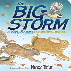The Big Storm: A Very Soggy Counting Book Board Books, Little Simon