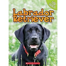 Labrador Retriever Library Binding, Scholastic