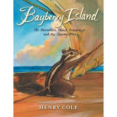 Brambleheart #2: Bayberry Island: An Adventure about Friendship and the Journey Home Hardcover, Katherine Tegen Books