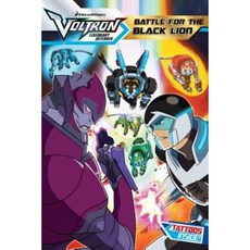 Battle for the Black Lion Hardcover, Simon Spotlight