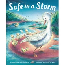 Safe in a Storm Hardcover, Cartwheel Books