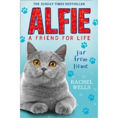 Alfie Far from Home Paperback, HarperCollins Children's Books