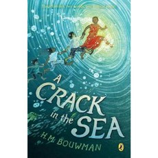 A Crack in the Sea Paperback, Puffin Books