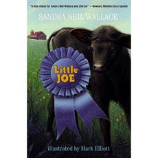 Little Joe Paperback, Yearling Books