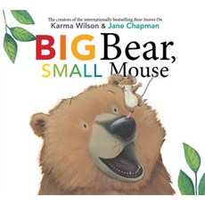Big Bear Small Mouse Hardcover, Margaret K. McElderry Books