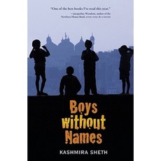Boys Without Names Hardcover, Balzer & Bray/Harperteen