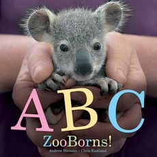 ABC Zooborns! Paperback, Beach Lane Books