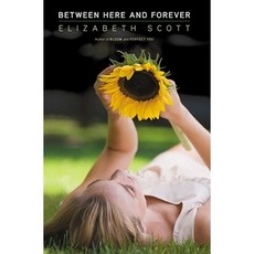 Between Here and Forever Hardcover, Simon Pulse