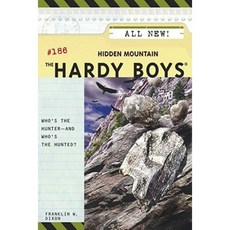 Hidden Mountain Paperback, Aladdin Paperbacks