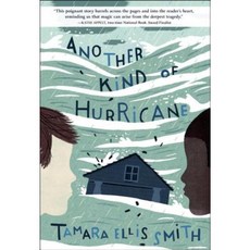 Another Kind of Hurricane Hardcover, Schwartz & Wade Books