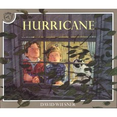 Hurricane Paperback, Clarion Books