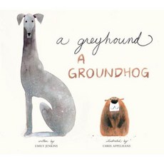 A Greyhound a Groundhog Hardcover, Schwartz & Wade Books