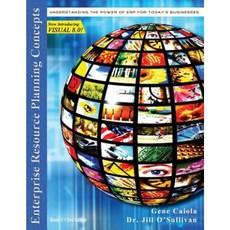 企業資源規劃概念：：了解 Erp 對現今企業的力量平裝本, Dmmsi 聯營公司