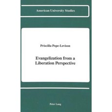 Evangelization from a Liberation Perspective Hardcover, Peter Lang Gmbh, Internationaler Verlag Der W