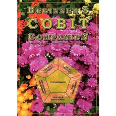 Beginner's Cobit Companion Paperback, Troubador Publishing
