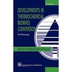 熱化學生物質轉化的進展：第 1 卷/第 2 卷精裝本, 施普林格