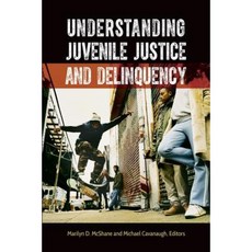 Understanding Juvenile Justice and Delinquency Paperback, Praeger