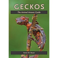 Geckos: The Animal Answer Guide Paperback, Johns Hopkins University Press
