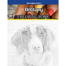 Brittany Coloring Book Paperback, Createspace Independent Publishing Platform