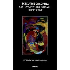 Executive Coaching: Systems Psychodynamic Perspective Paperback, Karnac Books