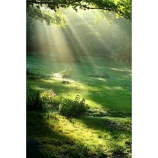 12 Steps Recovery Journal Twelve Step Program: (Notebook Diary Blank Book) Paperback, Createspace Independent Publishing Platform