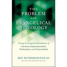 The Problem with Evangelical Theology Paperback, Baylor University Press
