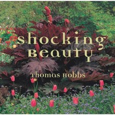 Shocking Beauty Hardcover, Periplus Editions