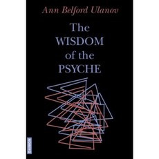 Wisdom of the Psyche Paperback, Daimon