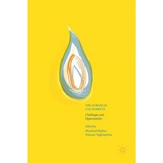 The European Gas Markets: Challenges and Opportunities Hardcover, Palgrave MacMillan