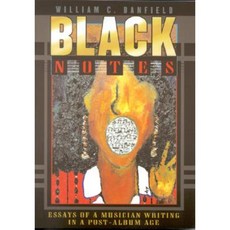Black Notes: Essays of a Musician Writing in a Post-Album Age Paperback, Scarecrow Press