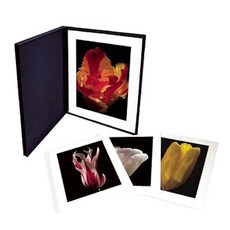 Tulipae Hortorum Hardcover, Abbeville Press