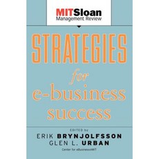 Strategies for E-Business Success 平裝版, Jossey-Bass