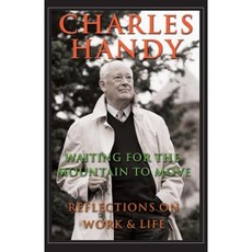 Waiting for the Mountain to Move: Reflections on Work and Life Paperback, Jossey-Bass