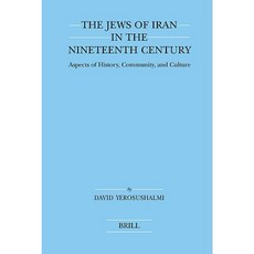 The Jews of Iran in the Nineteenth Century: Aspects of History Community and Culture Hardcover, Brill