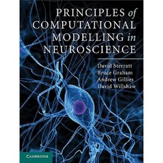 Principles of Computational Modelling in Neuroscience Hardcover, Cambridge University Press